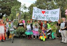 New report pinpoints forests conservation