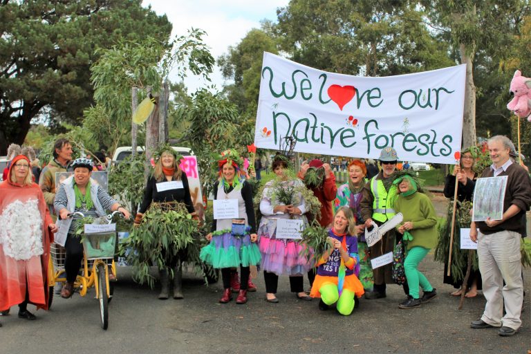 New report pinpoints forests conservation