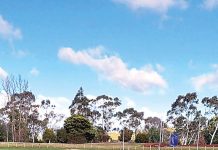 New wicket installed at Rawson