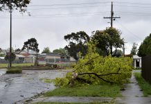 Wild winds hit Latrobe Valley