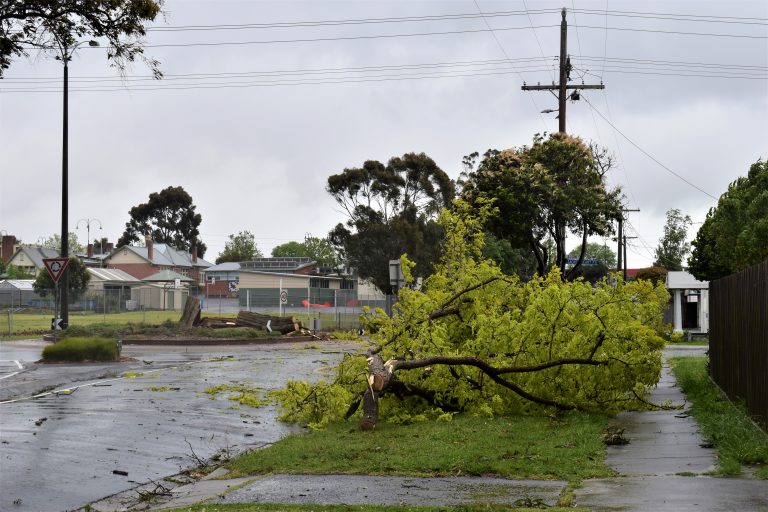 Wild winds hit Latrobe Valley