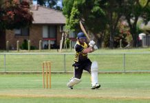 TDCA Round 5 preview