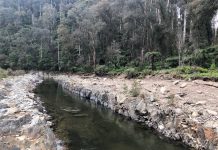 Thomson River Fishway flows again