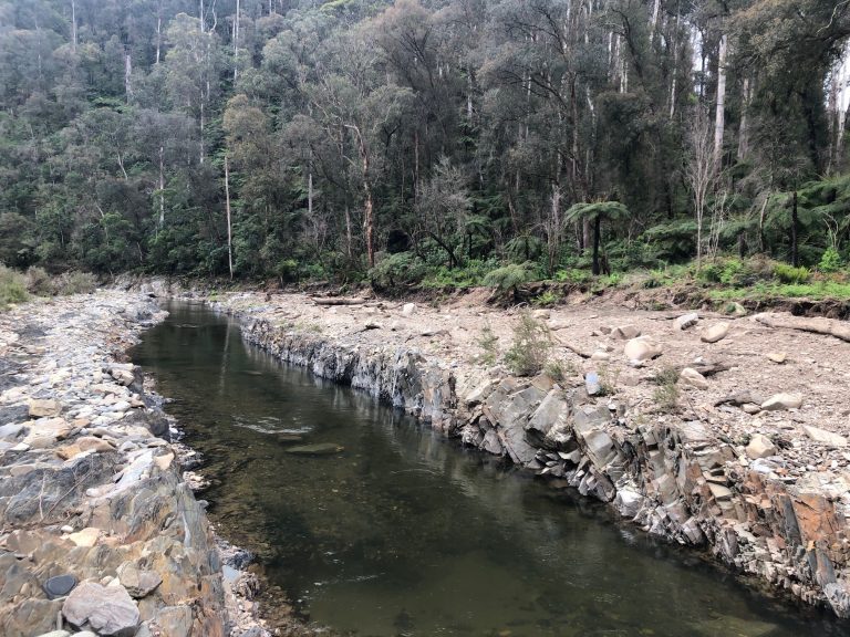 Thomson River Fishway flows again
