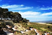 Stage 2 work on mountain bike park is underway