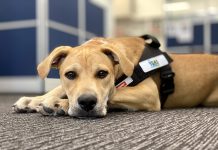 Finn celebrates first birthday in style