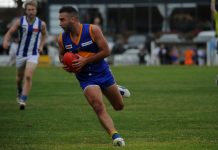 Double act will coach Cougars