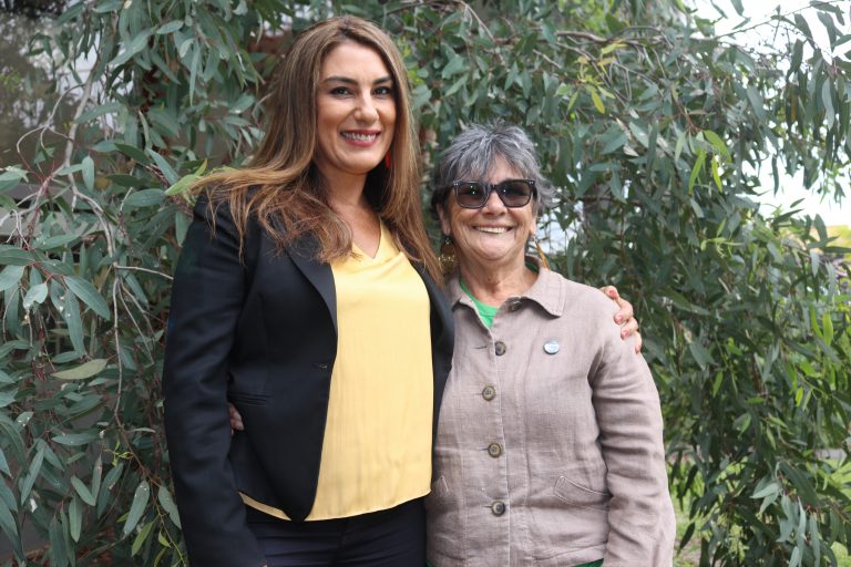 Greens announce candidates