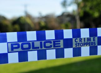 Single-vehicle crash on Princes Freeway