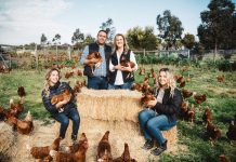 Supporting local at Woolworths South Gippsland Eggs