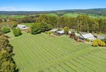 Toms Cap Vineyard is on the market