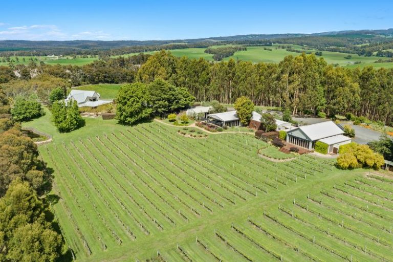 Toms Cap Vineyard is on the market