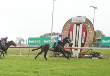 Moody, Moloney dominate