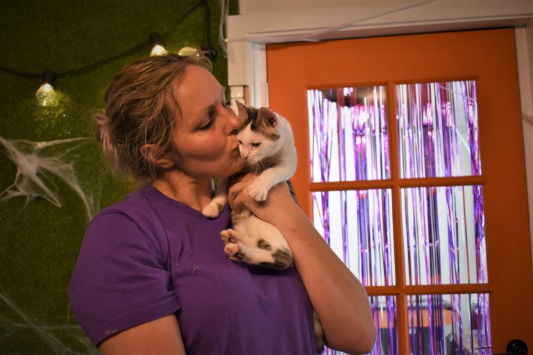 Fresh legislation introduced aims to get lost pets home much sooner