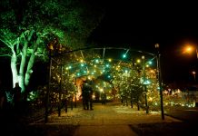 Rose Garden Festival a success