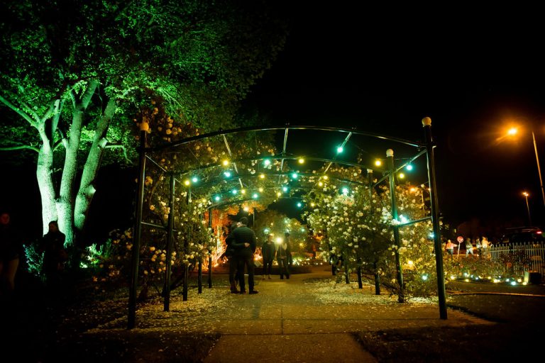 Rose Garden Festival a success