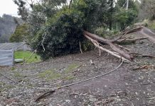 Customers may foot bill for cost of fixing poles and wires