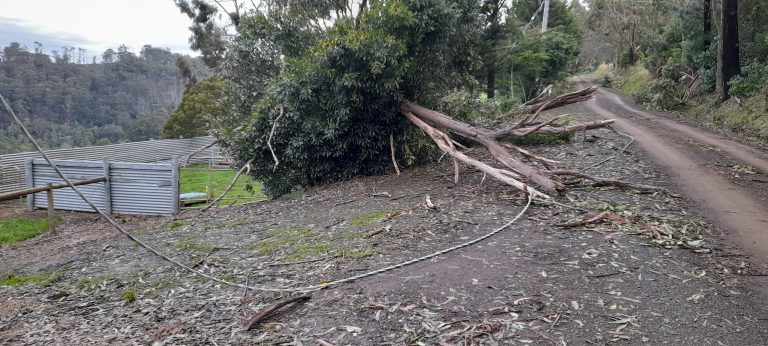 Customers may foot bill for cost of fixing poles and wires