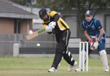 Cobras, Tigers setting the pace in LVDCL