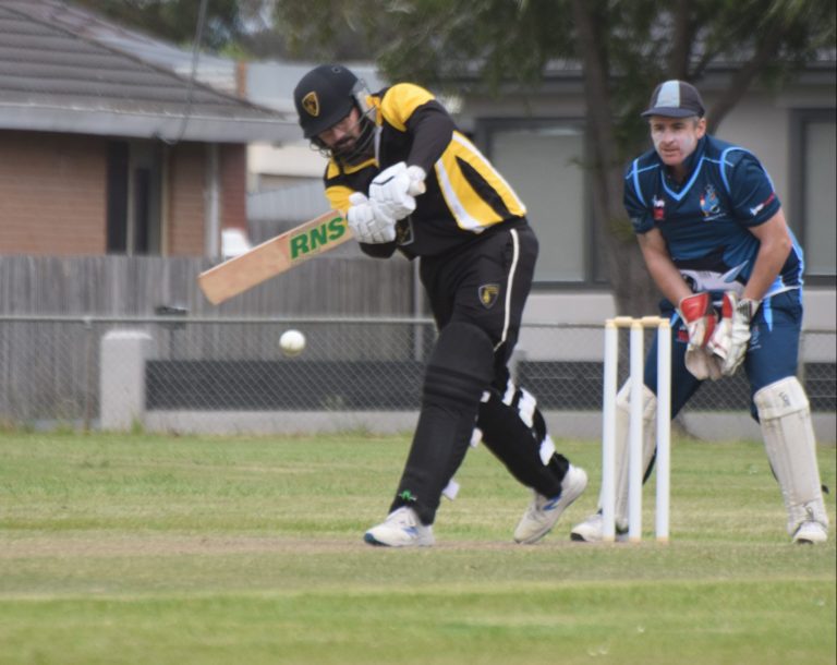 Cobras, Tigers setting the pace in LVDCL