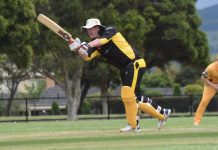 Panthers prevail in a thriller