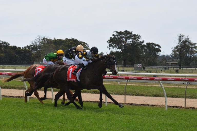 Brown’s treble highlights Moe races