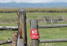 Legislation introduced for farm trespass fines