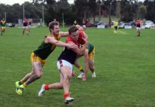 Participation report now released