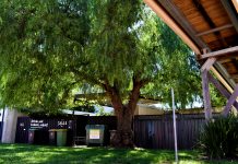 Peppercorn preservation panic