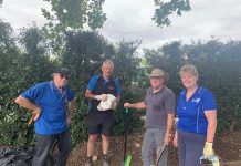 Blooming partnership grows the community