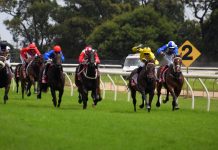 Local Cups Day is a winner