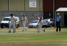 Tigers tuck into Pelicans