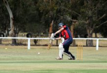 Pelicans sample a victory