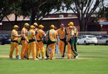 CATS charge into top four after win