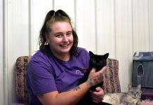 Surrendered pets on the increase in Valley