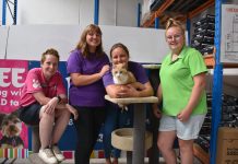 Pet adoption for the month of March