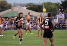 An exhibition of AFL proportions