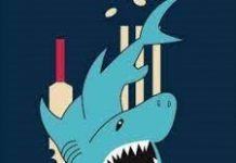 Sharks recognise top players