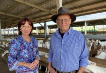 Nats call for harsher farm trespass penalty support