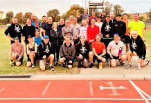 Harriers in Newborough