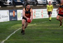 Cougars destroy Tigers