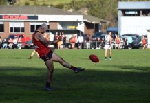 Terrific day for Tigers