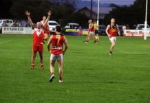 Jets steady in finals race