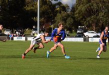 Jets grounded by superb performance by Cougars