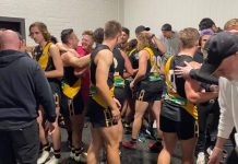 Tigers’ terrific triumph