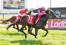 Moe holds bumper Anzac Day meeting