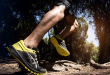 Harriers blaze a trail