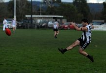 Bombers’ burst enough to down game Wildcats