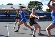 Lions shocked by impressive Power