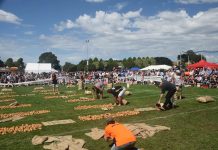 Potato festival’s future in doubt